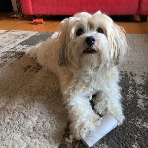 Meet your Posher, Ana